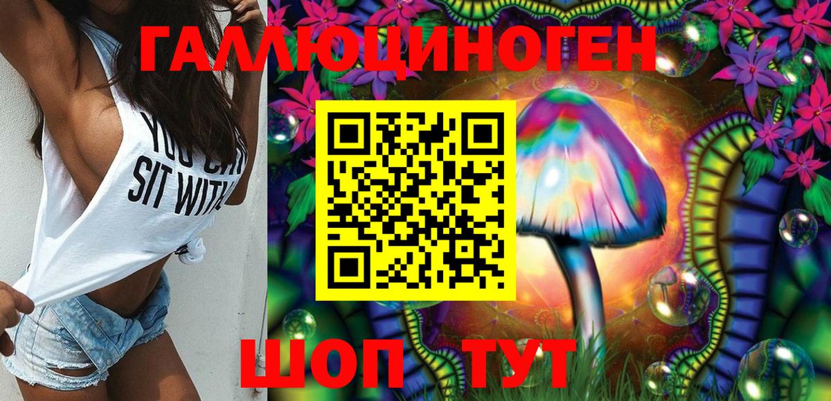 Галлюциногенные грибы Psilocybine cubensis Кисловодск