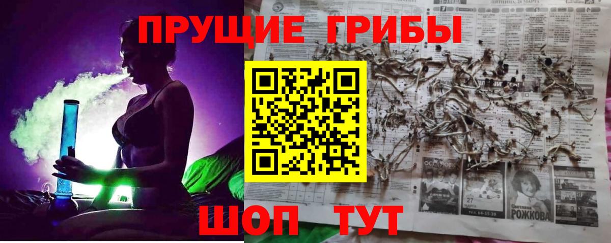 Кисловодск  Псилоцибиновые грибы Psilocybine cubensis  Вход с VPN  Псилоцибиновые грибы Psilocybine cubensis 