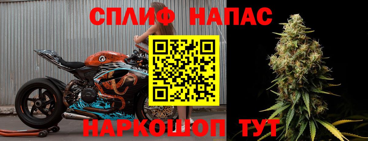 ГАШ Кисловодск